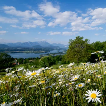 Alpe-Adria-Raum Region Kärnten